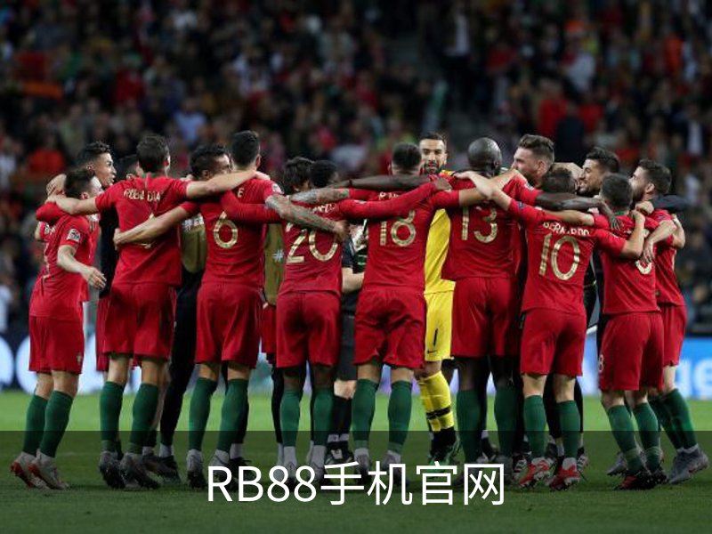 走进RB88手机官网